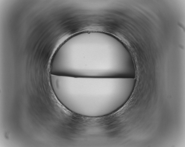 X0000098041248200804071433