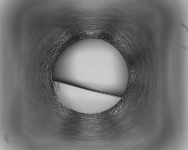 X0000098041249200804071432