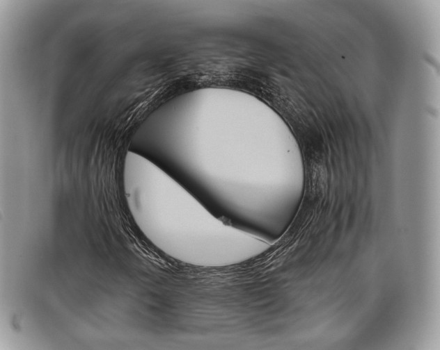 X0000098041250200804071432
