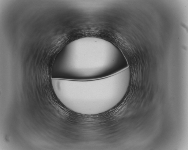 X0000098041252200804071432