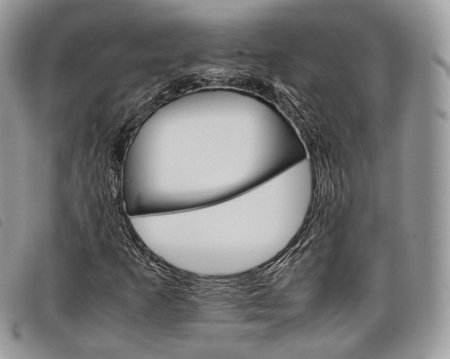 X0000098041253200804071432
