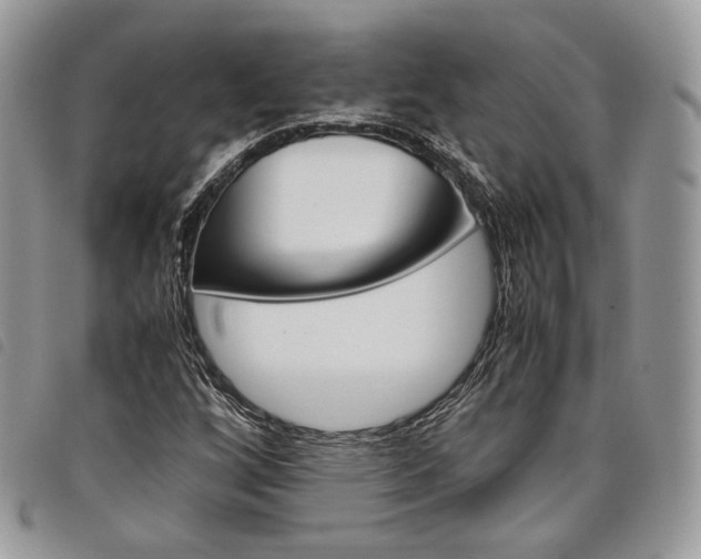 X0000098041256200804071432