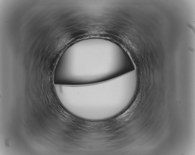 X0000098041257200804071432