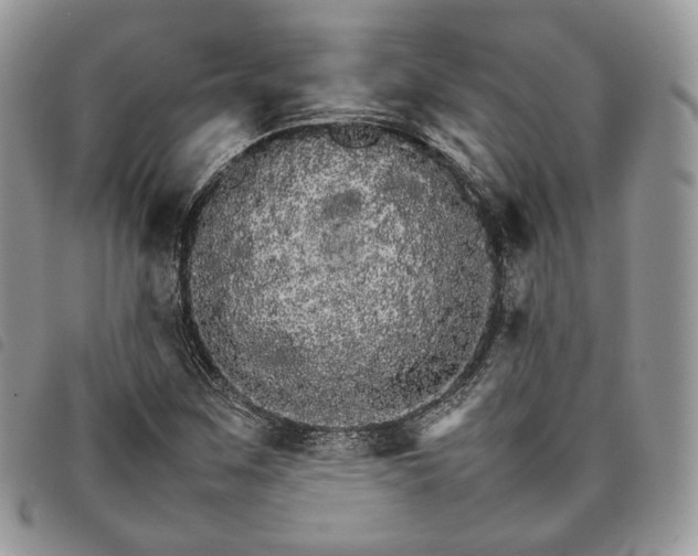 X0000098041259200804071432