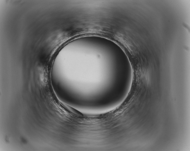 X0000098041260200804071432