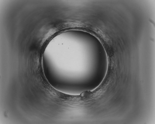 X0000098041261200804071432