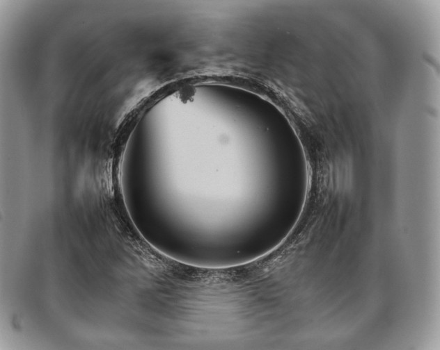 X0000098041262200804071432