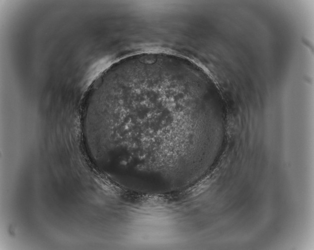 X0000098041263200804071432