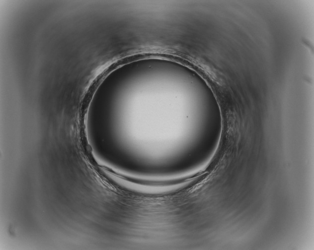 X0000098041264200804071432