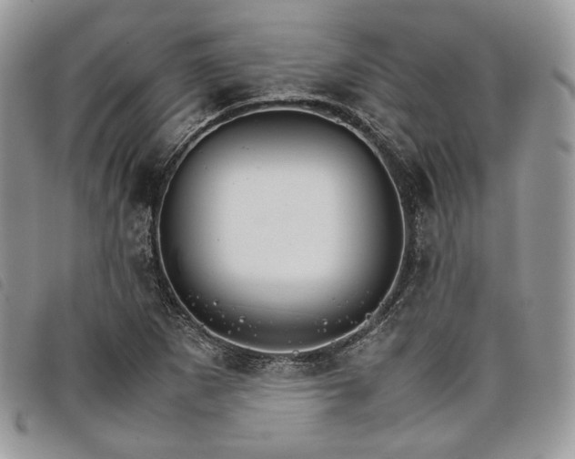 X0000098041265200804071432