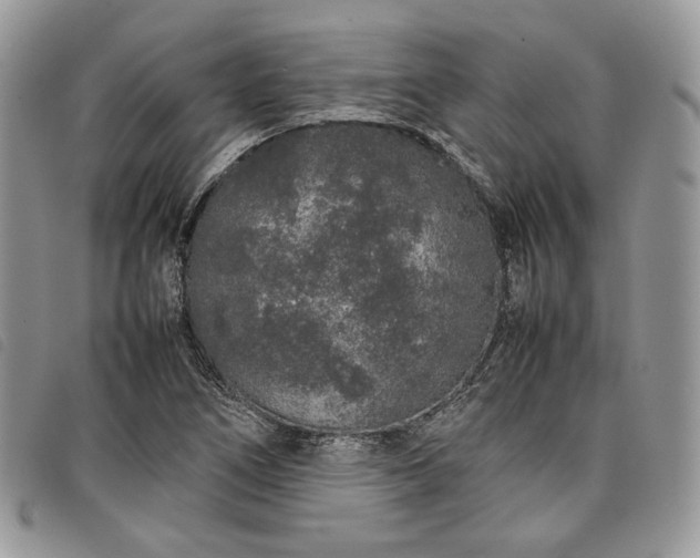 X0000098041266200804071432