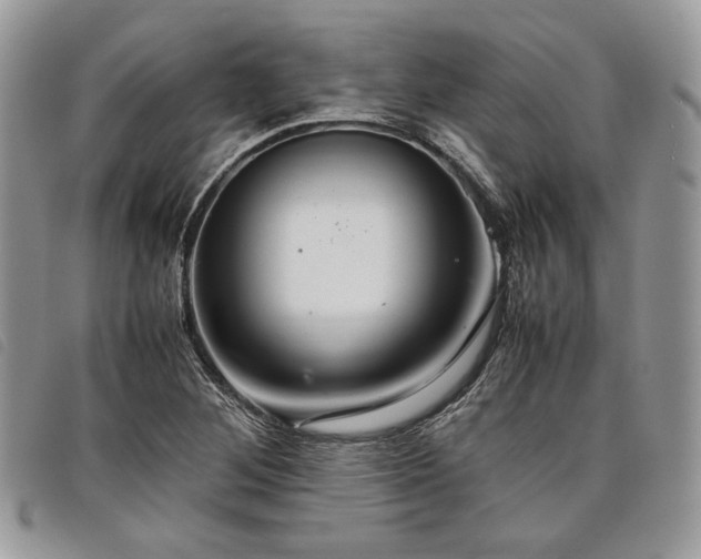 X0000098041268200804071432