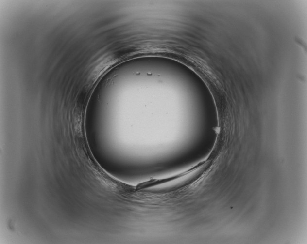 X0000098041273200804071432