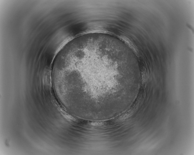 X0000098041274200804071432