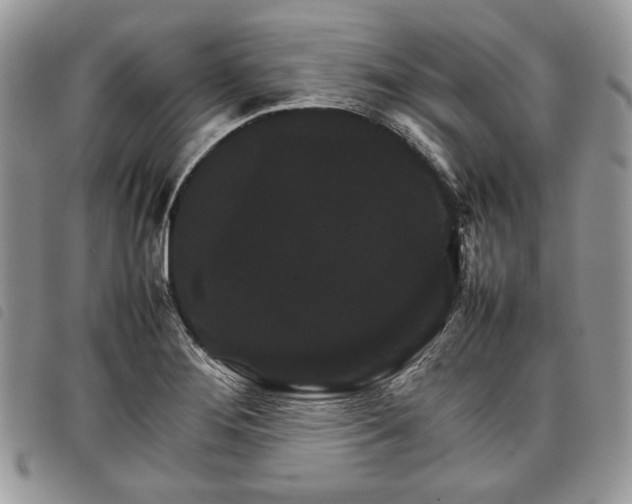 X0000098041276200804071432