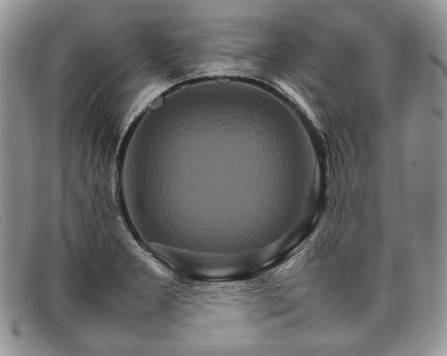 X0000098041277200804071432