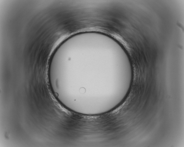 X0000098041278200804071432
