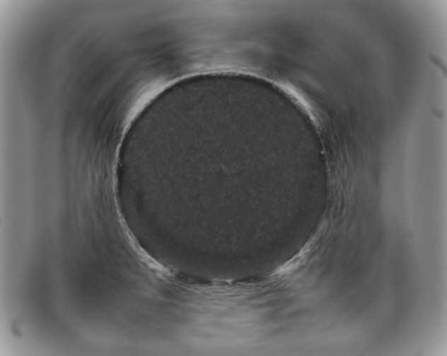 X0000098041279200804071432