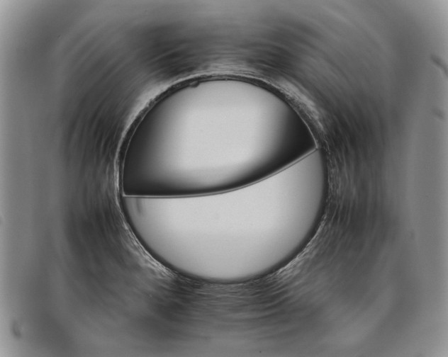 X0000098041280200804071432