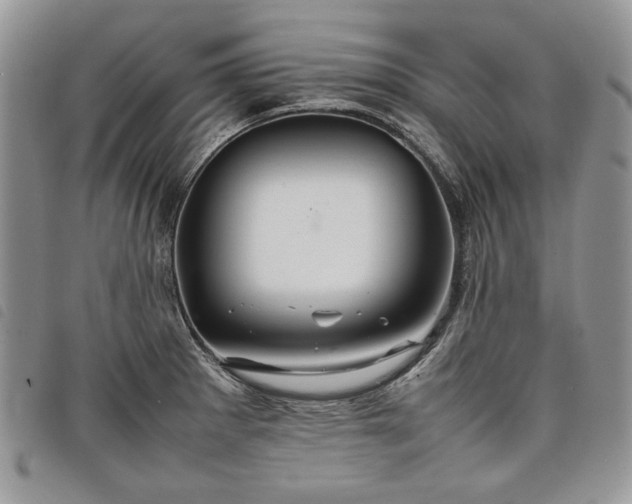 X0000098041281200804071432
