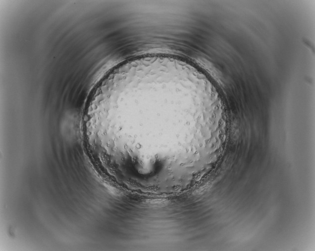 X0000098041282200804071432