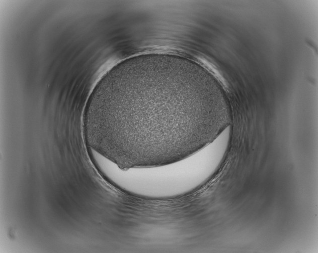 X0000098041283200804071431