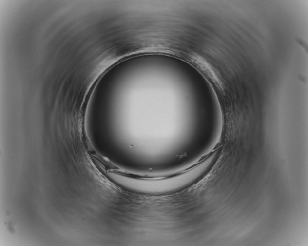 X0000098041284200804071431
