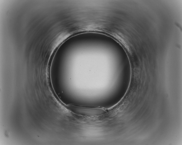 X0000098041285200804071431