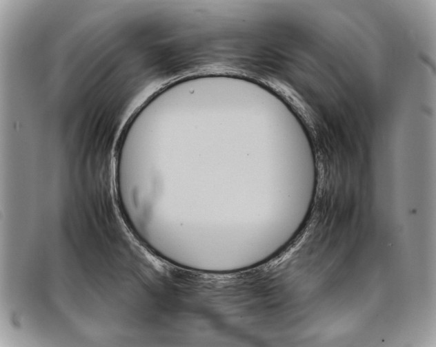 X0000098041286200804071431