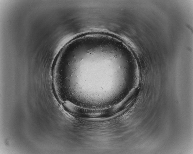 X0000098041287200804071431