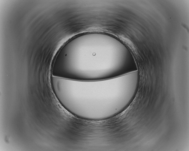 X0000098041288200804071431