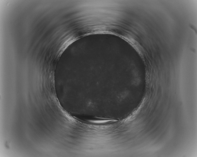 X0000098041289200804071431