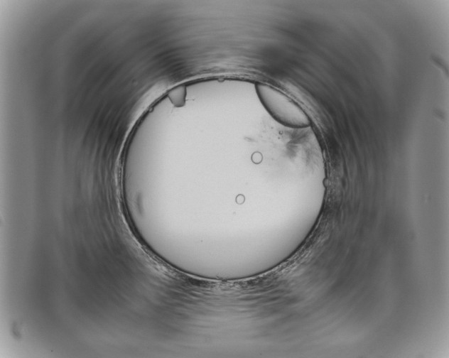 X0000098041291200804071431
