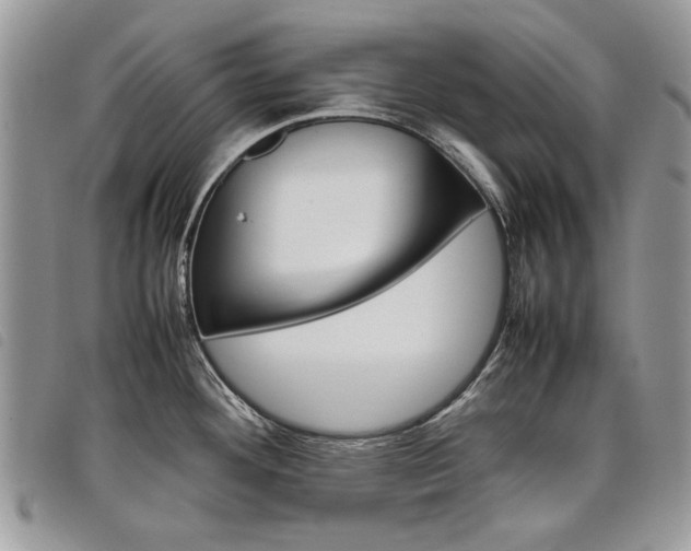 X0000098041292200804071431