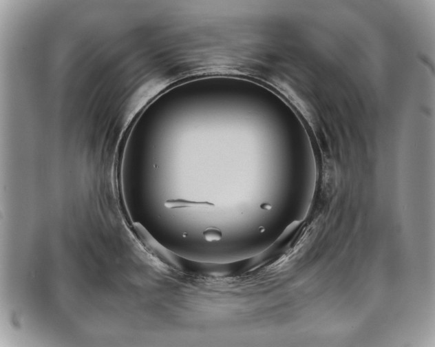 X0000098041293200804071431