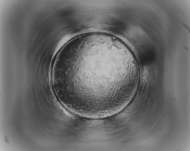 X0000098041294200804071431