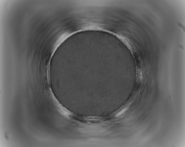 X0000098041295200804071431