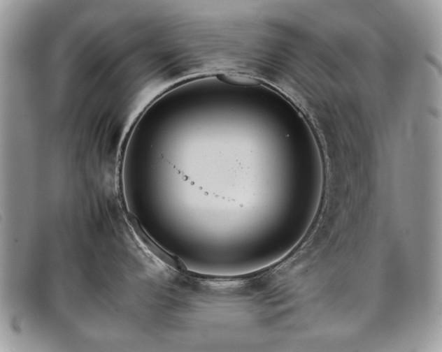 X0000098041296200804071431