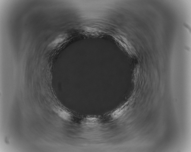 X0000098041297200804071430