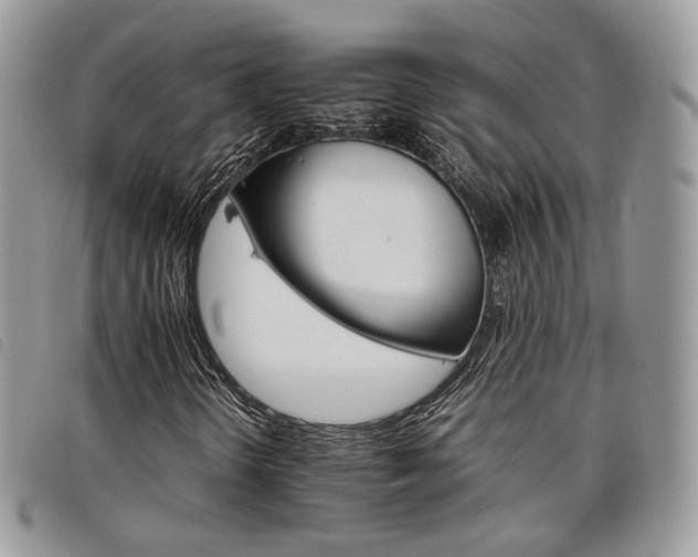 X0000098041298200804071430