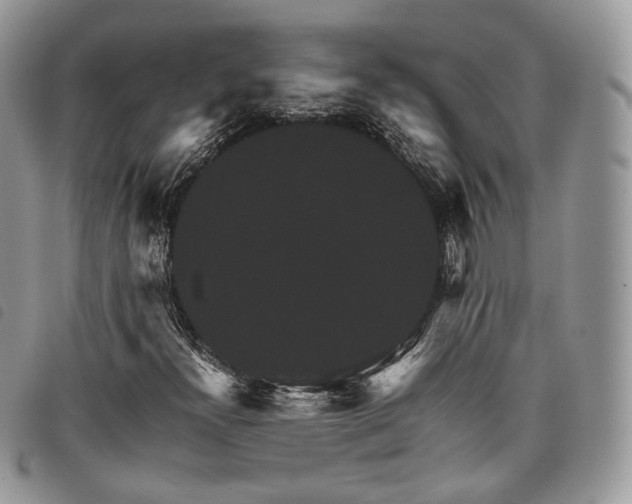 X0000098041300200804071431