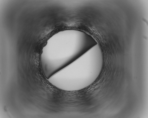X0000098041301200804071431