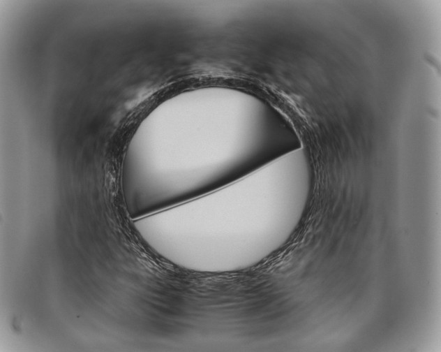 X0000098041303200804071431