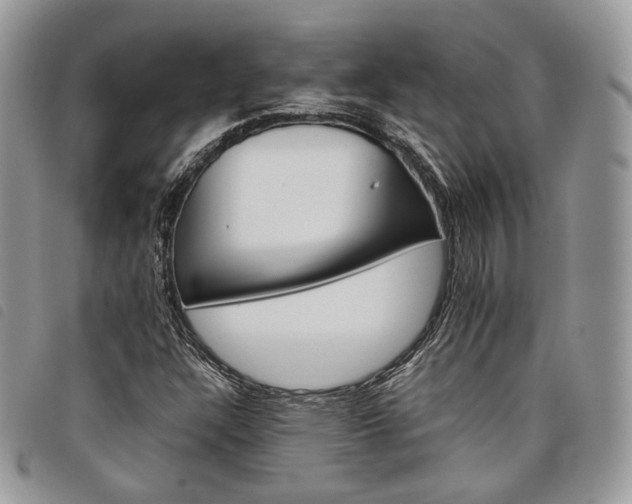 X0000098041304200804071431