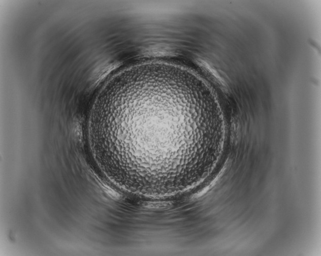 X0000098041305200804071431