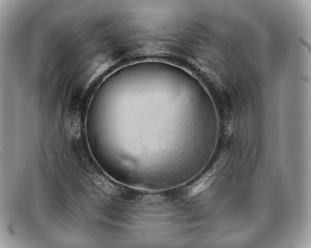 X0000098041306200804071431