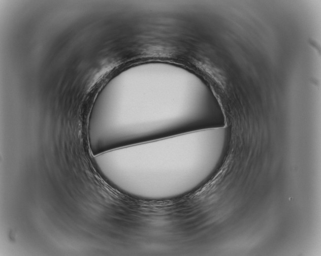 X0000098041307200804071431