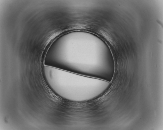 X0000098041308200804071431