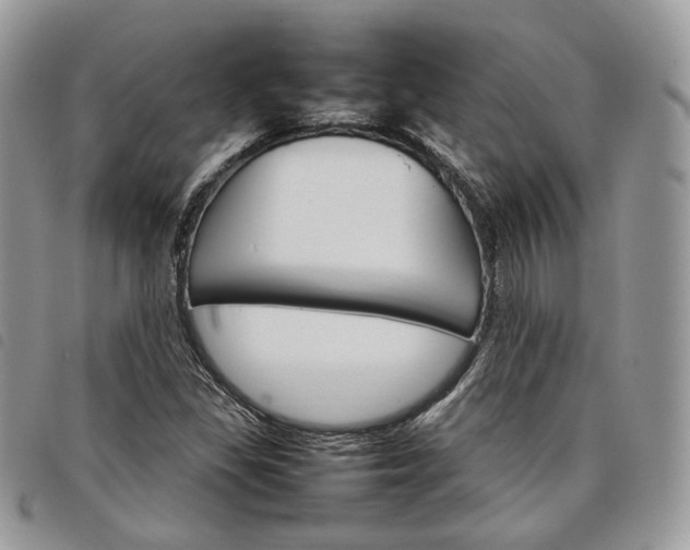 X0000098041309200804071431