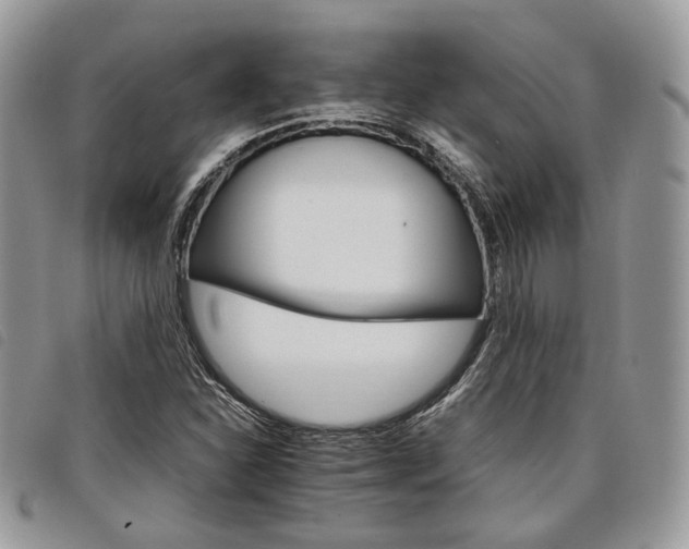 X0000098041310200804071431